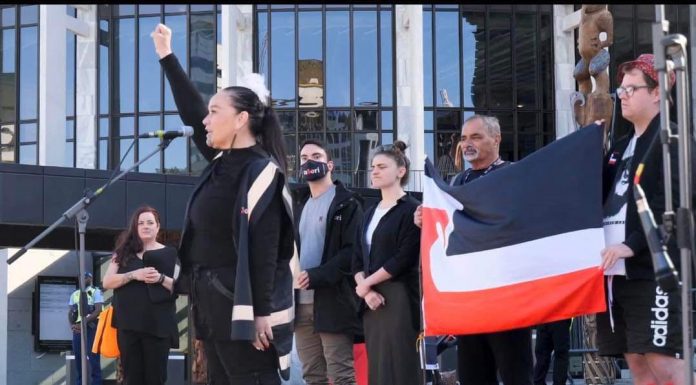 Il supporto māori alla Palestina nelle parole di Debbie Ngarewa-Packer