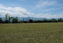 Montagna / Il Friuli ovunque