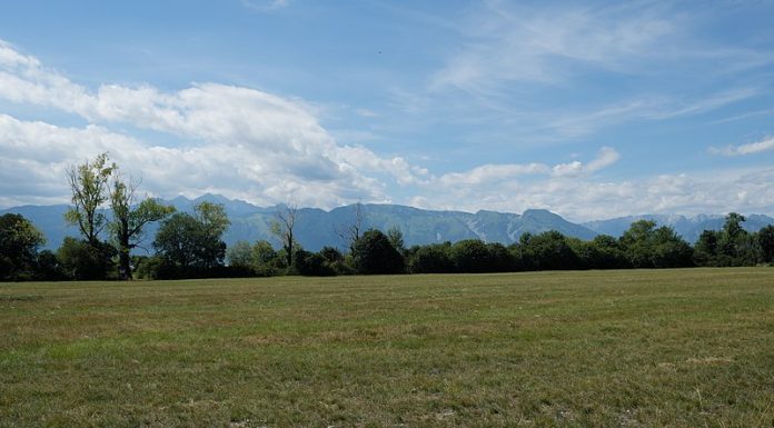 Montagna / Il Friuli ovunque