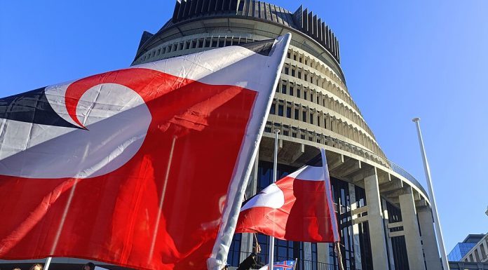 Tra identità e leggi: la haka di Hana-Rawhiti Maipi-Clarke e il futuro del Trattato di Waitangi in Nuova Zelanda