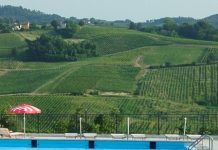 Letture da Ombrellone 2025