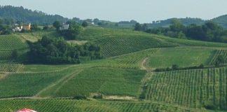 Letture da Ombrellone 2025