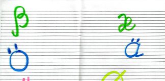 Language challenge: svedese e svizzero tedesco. Estremo Nord vs. estremo Sud.